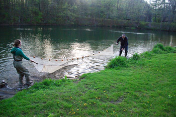 Master Naturalists learn to seine at Whitewater State Park