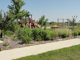 Eyota, Minnesota’s Summerfield Park is landscaped with rain gardens thanks to Park Board members and other volunteers